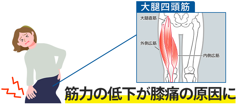 筋力低下が痛みの原因に